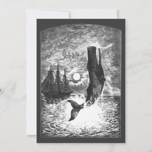  snaarwalvissen, zeedieren (Voorkant)