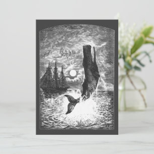  snaarwalvissen, zeedieren