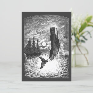 snaarwalvissen, zeedieren