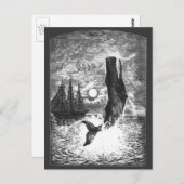  snaarwalvissen, zeedieren briefkaart (Voorkant / Achterkant)