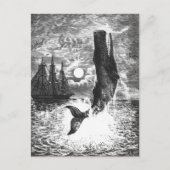  snaarwalvissen, zeedieren briefkaart (Voorkant)