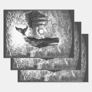 snaarwalvissen, zeedieren inpakpapier vel