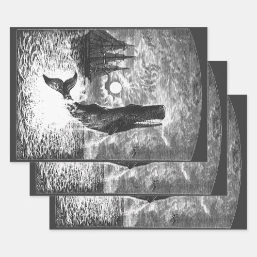 snaarwalvissen, zeedieren inpakpapier vel (Set)