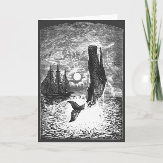  snaarwalvissen, zeedieren kaart (Voorkant)