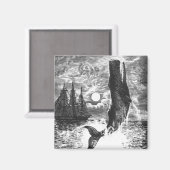 snaarwalvissen, zeedieren magneet (Voorkant / Achterkant)