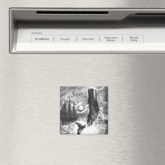  snaarwalvissen, zeedieren magneet (Insitu (Vaatwasser))