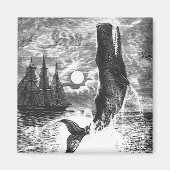  snaarwalvissen, zeedieren magneet (Voorkant)