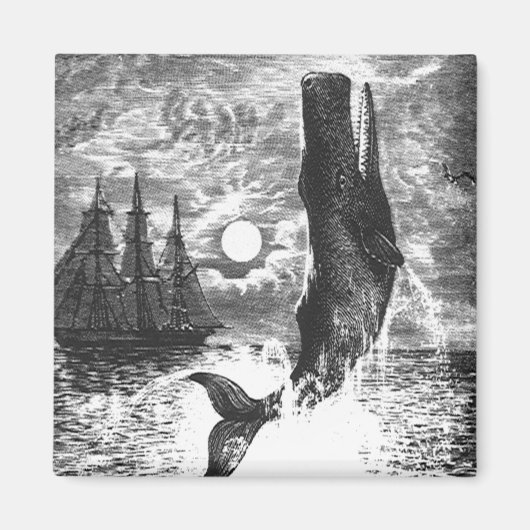 snaarwalvissen, zeedieren magneet (Voorkant)