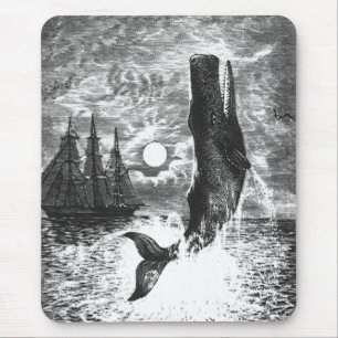  snaarwalvissen, zeedieren muismat