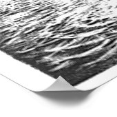  snaarwalvissen, zeedieren poster (Hoek)