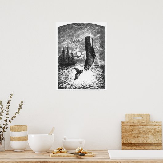  snaarwalvissen, zeedieren poster (Keuken)