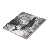  snaarwalvissen, zeedieren tegeltje (Zijkant)