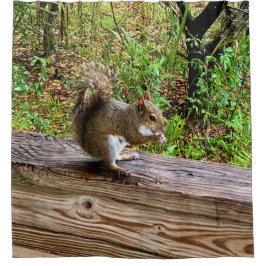Snack Attack, A Squirrel Living His Best Life Douchegordijn