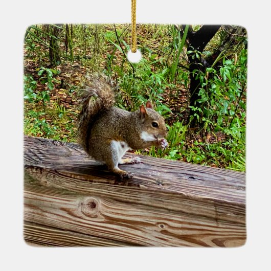 Snack Attack Keramisch Ornament (Achterkant)