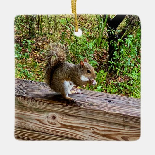 Snack Attack Keramisch Ornament (Voorkant)