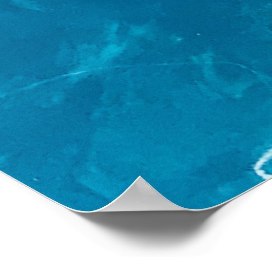 Snack Attack Shark – Summer Poster (Hoek)