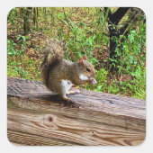 Snack Attack Vierkante Sticker (Voorkant)