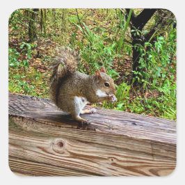 Snack Attack Vierkante Sticker