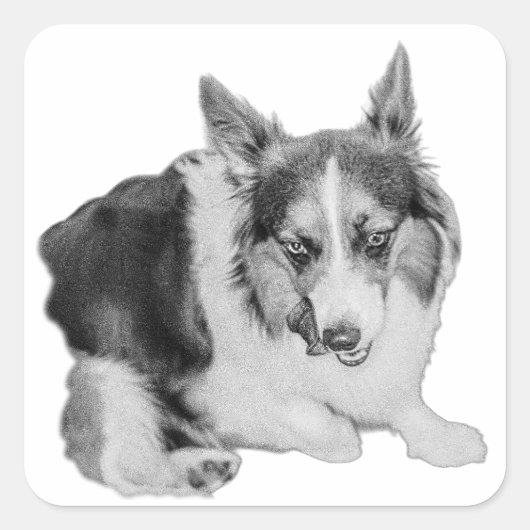 Snack Patrol Vierkante Sticker (Voorkant)