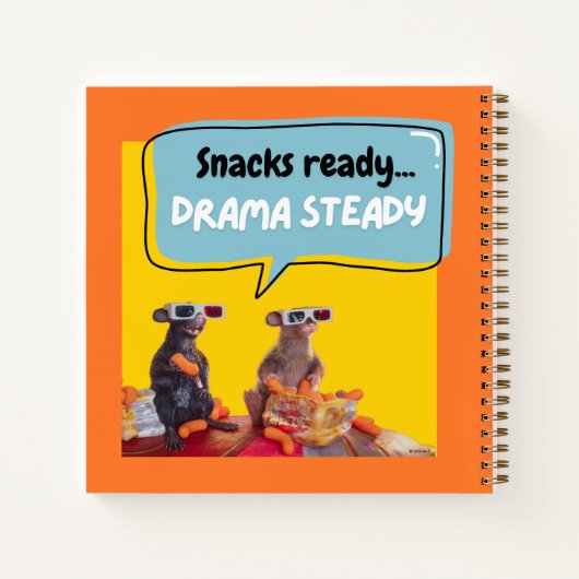 Snacks Klaar, Drama Stabiel Notitieboek (Achterkant)