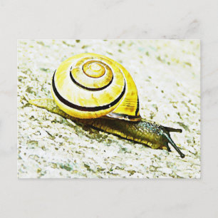 Snagelaas Briefkaart