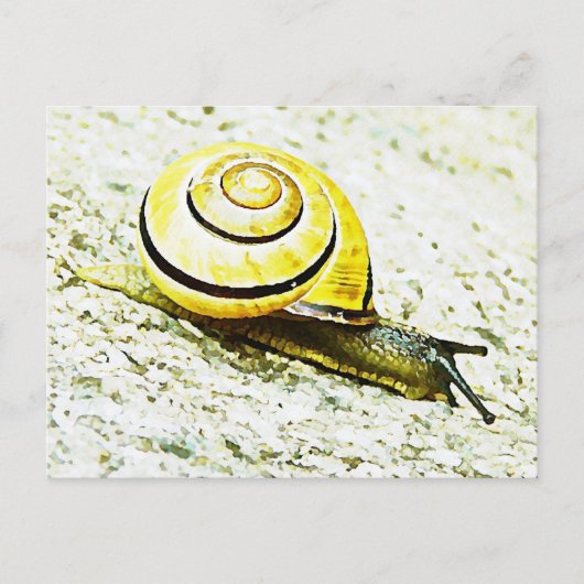 Snagelaas Briefkaart (Voorkant)