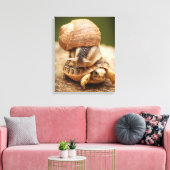 Snagelrog Baby Tortoise Canvas Afdruk (Insitu (Woonkamer))