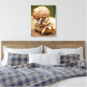Snagelrog Baby Tortoise Canvas Afdruk (Insitu (Slaapkamer))