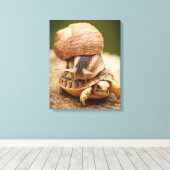Snagelrog Baby Tortoise Canvas Afdruk (Insitu (Houten vloer))