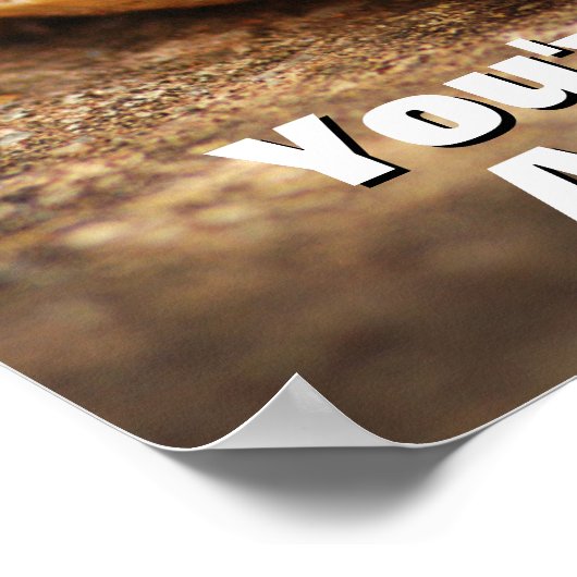 Snagelrog Baby Tortoise Poster (Hoek)