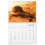 Snagels wandkalender kalender (Jan 2027)