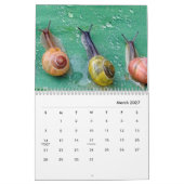 Snagels wandkalender kalender (Mar 2027)