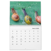 Snagels wandkalender kalender (Mar 2026)