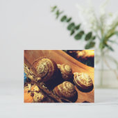 Snagelschalen Briefkaart (Staand voorkant)