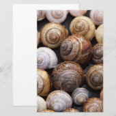 Snagelschalen Briefpapier (Voorkant / Achterkant)