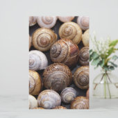 Snagelschalen Briefpapier (Staand voorkant)