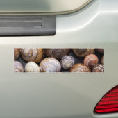 Snagelschalen Bumpersticker (Op auto)