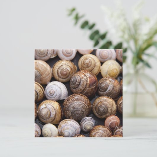 Snagelschalen Kaart (Staand voorkant)