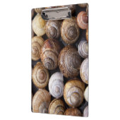 Snagelschalen Klembord (Links)