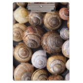 Snagelschalen Klembord (Voorkant)