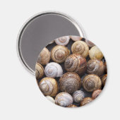 Snagelschalen Magneet (Voorkant / Achterkant)