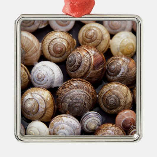 Snagelschalen Metalen Ornament (Voorkant)