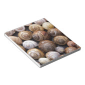 Snagelschalen Notitieblok (Schuin)