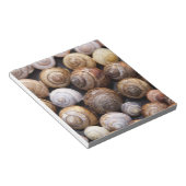 Snagelschalen Notitieblok (Schuin)