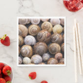 Snagelschalen Servet (Insitu)