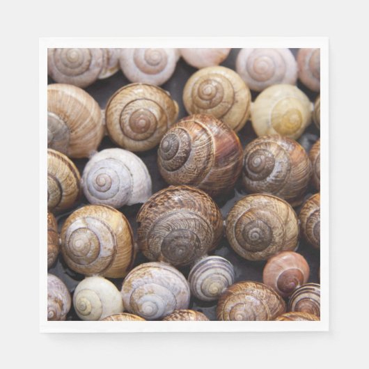 Snagelschalen Servet (Voorkant)