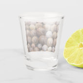 Snagelschalen Shot Glas (Achterkant)