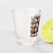 Snagelschalen Shot Glas (Links)