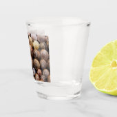 Snagelschalen Shot Glas (Rechts)