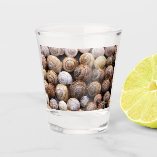 Snagelschalen Shot Glas (Voorkant)